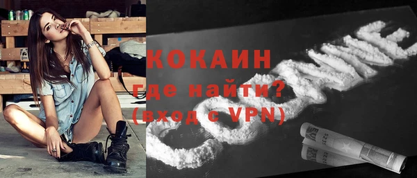 индика Зеленокумск