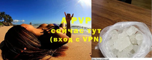 индика Зеленокумск