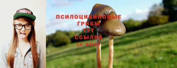 индика Зеленокумск