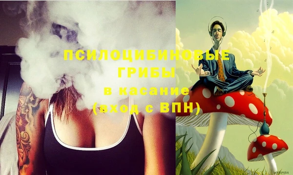 индика Зеленокумск