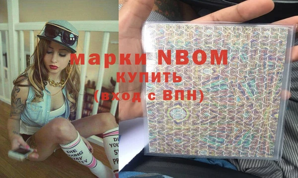индика Зеленокумск