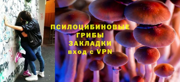 индика Зеленокумск