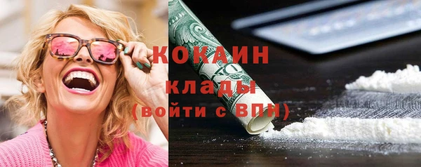 индика Зеленокумск
