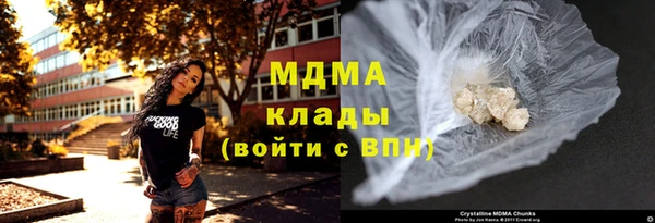 индика Зеленокумск