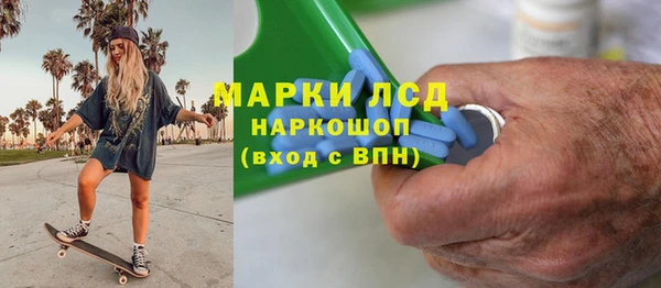 индика Зеленокумск