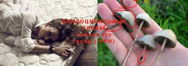 PSILOCYBIN Всеволожск