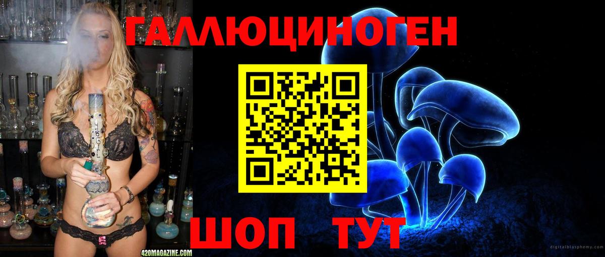 Псилоцибиновые грибы Cubensis Ивантеевка